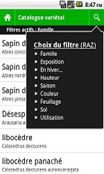 capt2.jpg